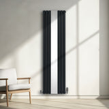 Radiateur à Colonne Ovale avec Miroir & Valves - 1800mm x 500mm – Gris Anthracite