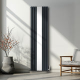 Radiateur à Colonne Ovale avec Miroir - 1800mm x 500mm – Gris Anthracite