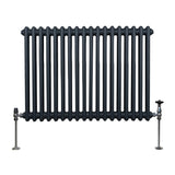 Radiateur Traditionnel à Double Colonne – 600 x 832 mm – Gris Anthracite