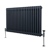 Radiateur Traditionnel à Double Colonne – 600 x 1012 mm – Gris Anthracite