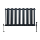 Radiateur Traditionnel à Double Colonne – 600 x 1012 mm – Gris Anthracite