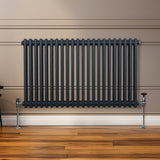 Radiateur Traditionnel à Double Colonne – 600 x 1012 mm – Gris Anthracite