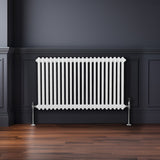 Radiateur Traditionnel à Double Colonne – 600 x 1012 mm – Blanc