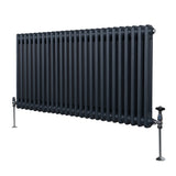 Radiateur Traditionnel à Double Colonne – 600 x 1192 mm – Gris Anthracite