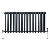 Radiateur Traditionnel à Double Colonne – 600 x 1192 mm – Gris Anthracite