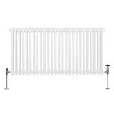 Radiateur Traditionnel à Double Colonne – 600 x 1192 mm – Blanc