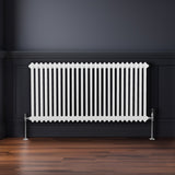 Radiateur Traditionnel à Double Colonne – 600 x 1192 mm – Blanc