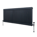 Radiateur Traditionnel à Double Colonne – 600 x 1462 mm – Gris Anthracite