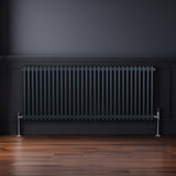 Radiateur Traditionnel à Double Colonne – 600 x 1462 mm – Gris Anthracite