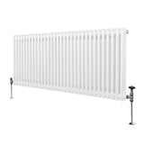 Radiateur Traditionnel à Double Colonne – 600 x 1462 mm – Blanc