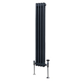 Radiateur Traditionnel à Double Colonne – 1500 x 202 mm – Gris Anthracite