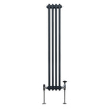 Radiateur Traditionnel à Double Colonne – 1500 x 202 mm – Gris Anthracite