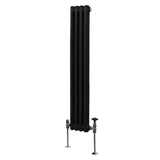 Radiateur Traditionnel à Double Colonne – 1500 x 202 mm – Noir