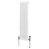 Radiateur Traditionnel à Double Colonne – 1500 x 292 mm – Blanc