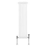 Radiateur Traditionnel à Double Colonne – 1500 x 292 mm – Blanc