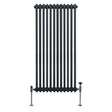 Radiateur Traditionnel à Double Colonne – 1500 x 562 mm – Gris Anthracite