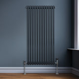 Radiateur Traditionnel à Double Colonne – 1500 x 562 mm – Gris Anthracite