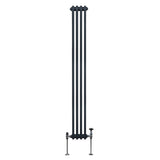 Radiateur Traditionnel à Double Colonne – 1800 x 202 mm – Gris Anthracite