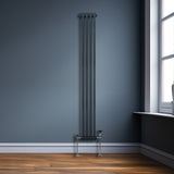 Radiateur Traditionnel à Double Colonne – 1800 x 202 mm – Gris Anthracite