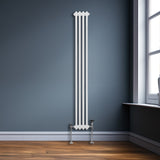 Radiateur Traditionnel à Double Colonne – 1800 x 202 mm – Blanc