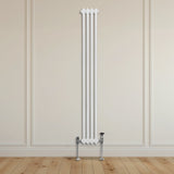 Radiateur Traditionnel à Double Colonne – 1800 x 202 mm – Blanc