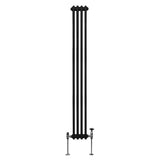 Radiateur Traditionnel à Double Colonne – 1800 x 202 mm – Noir