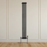 Radiateur Traditionnel à Double Colonne – 1800 x 202 mm – Noir