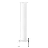 Radiateur Traditionnel à Double Colonne – 1800 x 292 mm – Blanc