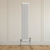 Radiateur Traditionnel à Double Colonne – 1800 x 292 mm – Blanc