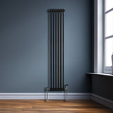 Radiateur Traditionnel à Double Colonne – 1800 x 292 mm – Noir