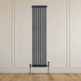 Radiateur Traditionnel à Double Colonne – 1800 x 382 mm – Gris Anthracite