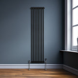 Radiateur Traditionnel à Double Colonne – 1800 x 382 mm – Noir