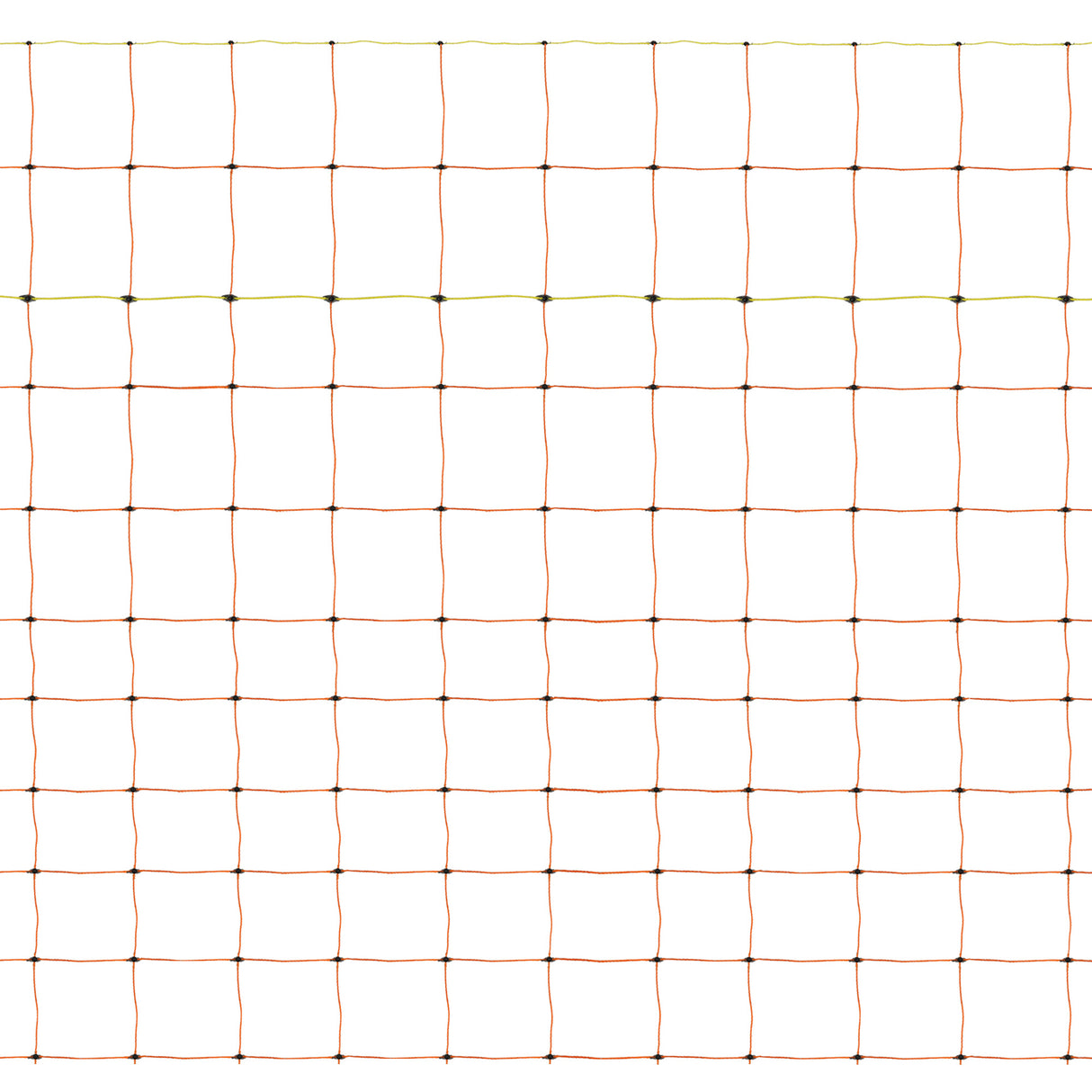 Filet Électrifiable Pour Volaille 50 M