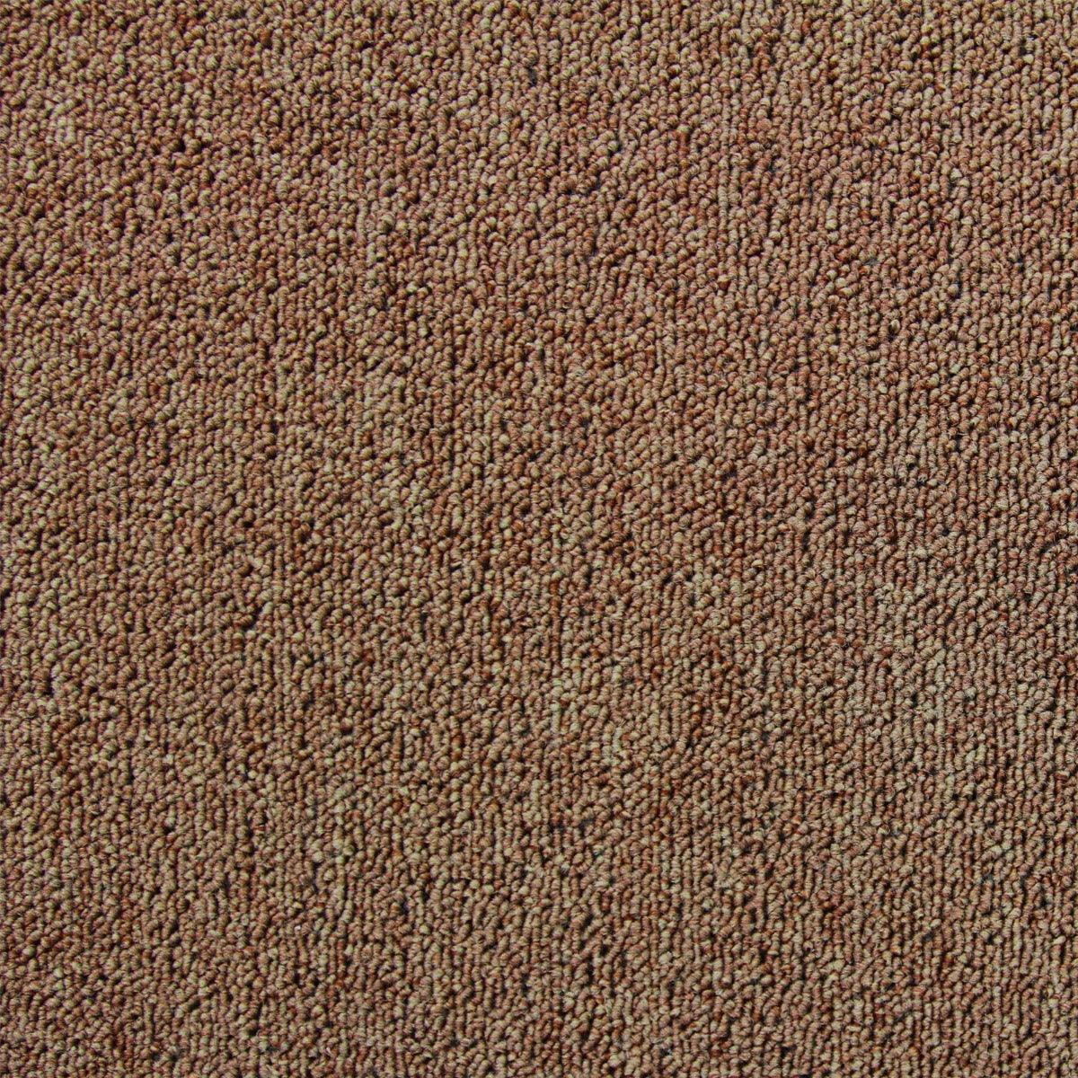 Dalle de Moquette Couleur Sable, 20 Dalles de 50cm x 50cm (5m²)