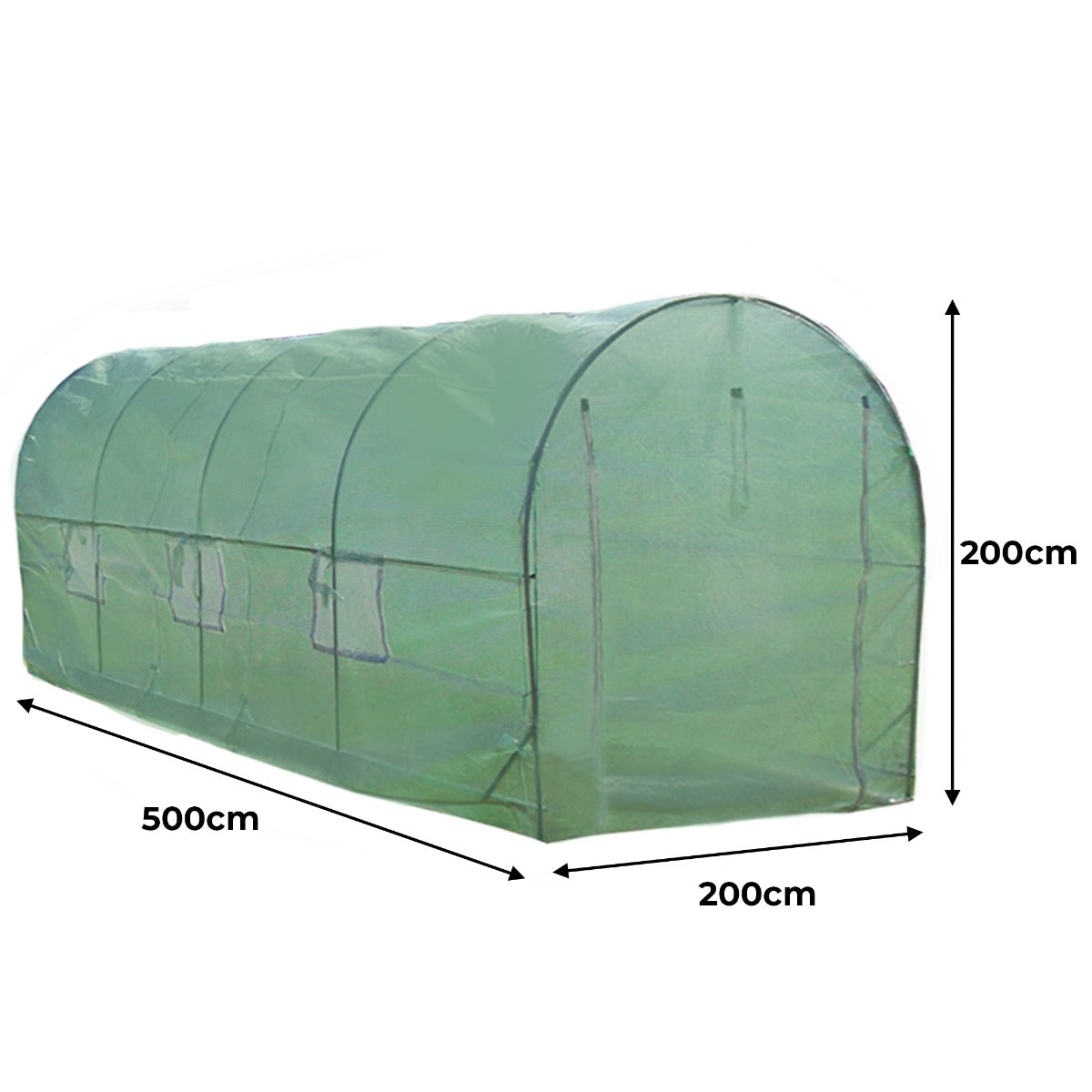 Serre Polytunnel 19mm 5m x 2m avec Étagères