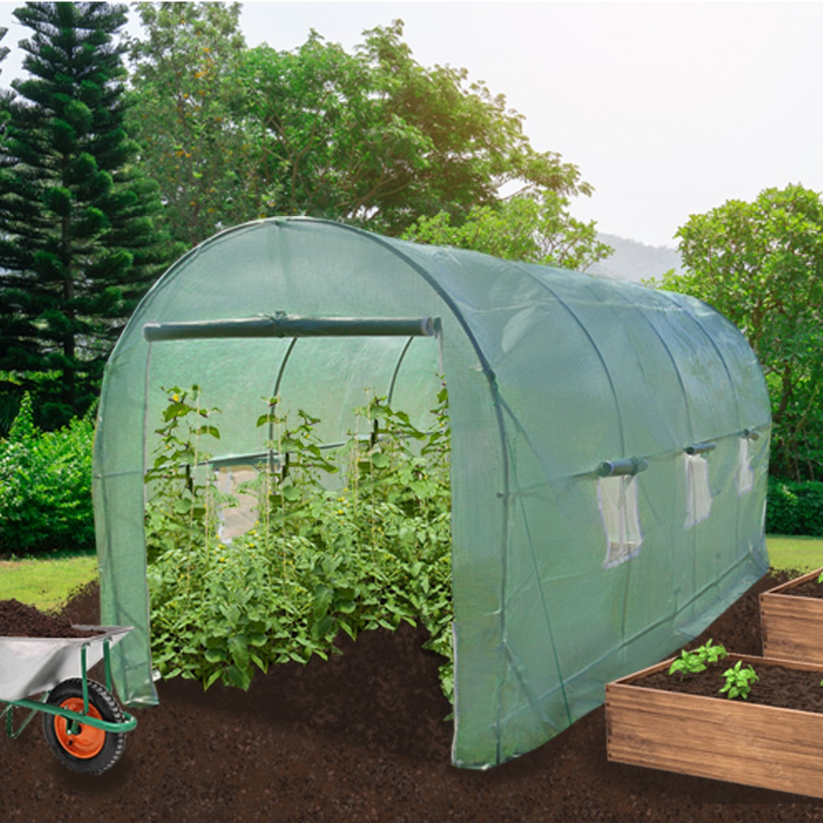 Serre Polytunnel 25mm 6m x 3m